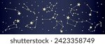 Different drawn constellations in night sky