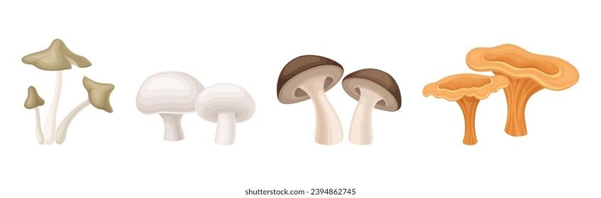 Different Edible Mushroom with Stem and Cap Vector Set