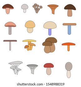 Different edible mushrooms. A lot of mushrooms.