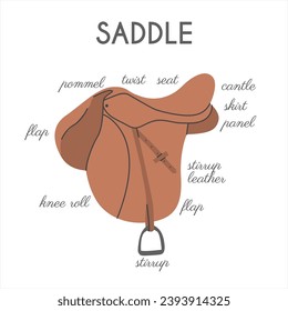 Different English Horse Saddle Parts. Infographic banner with detailed names. Equestrian tack. Equine sports informational educational poster. Vector illustration colored flat hand drawn style.