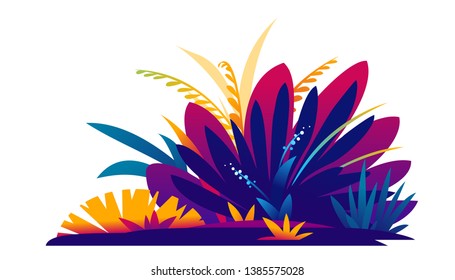 Different exotic violet plants on ground with grass and flowers isolated, decoration of tropical plants assorted together, great bush of fantastic plants