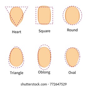The different face shapes. Heart, square, round, triangle, oblong, oval