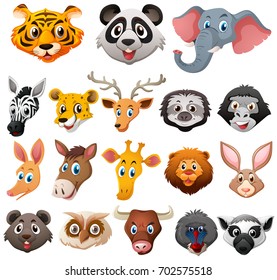 Different faces of wild animals illustration