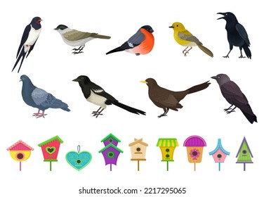 Different Feathered Birds and Nesting Box or Birdhouse Big Vector Set