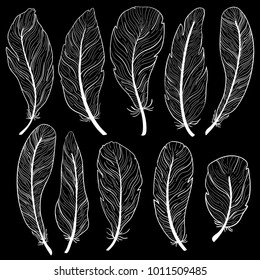 The different feathers are painted on a white background. Painted in delicate colors. Hand draw set.
