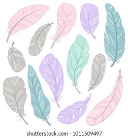 The different feathers are painted on a white background. Painted in delicate colors. Hand draw set.