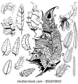 Different feathers set. Sketch style. Vector illustration isolated on white background. Series of doodle feather.