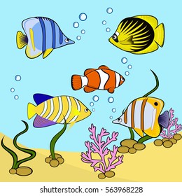Different fish in blue water with coral and algae