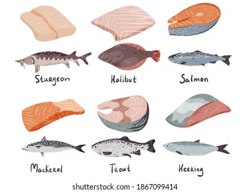 Different fishes and fillet set isolated on white vector illustration. Ocean, river fauna. Healthy diet food design element. Omega sources in cartoon style.