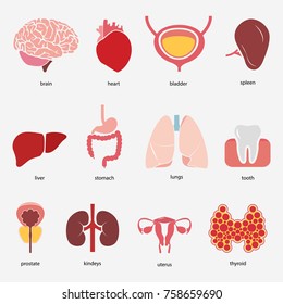 2,410 Lung function Images, Stock Photos & Vectors | Shutterstock