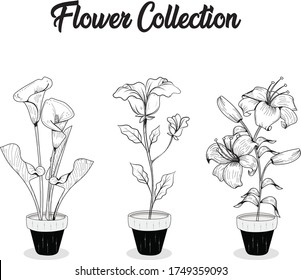 Unterschiedliche Blumenanordnung in einem Topf
