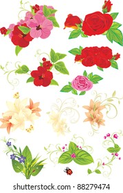 Different flower collection isolated on the white. Vector