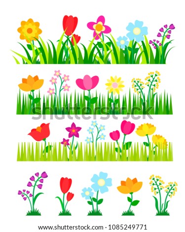Different flowers collection with green grass. Flowerbeds set in the garden, vector illustration