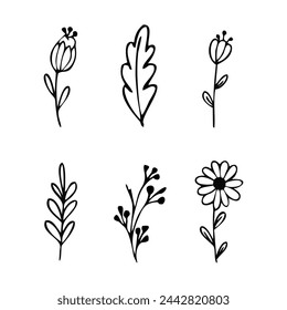 diferentes flores y hojas ilustración vectorial