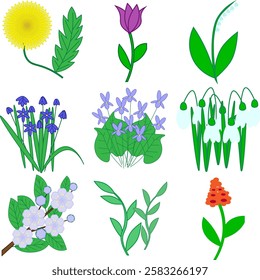 Different flowers that you can use in your designs. It can also be wall art.