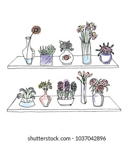 different flowers are in vases and pots, painted with a brush imitating watercolor.