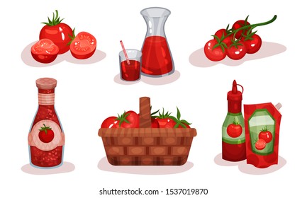 Different Food Items Made of Tomato Ingredient Vector Illustrated Set