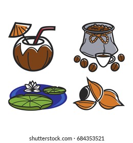 Different food and water lily
