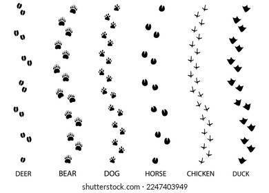 diferentes trazas de huellas. el paso de la huella sigue a los animales. Ilustración vectorial.