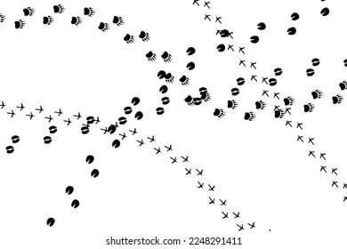 different footprint traces. footprint step traces animals. Vector illustration.