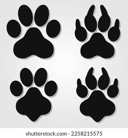 Different footprints of big cats set.