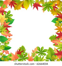 Different forest leaves frame