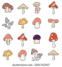 Different forest mushrooms in a row seamless pattern. Background with chanterelles, boletuses, honey mushrooms, fly agarics, toadstools, butter mushrooms and other mushrooms. Mushroom variation autumn