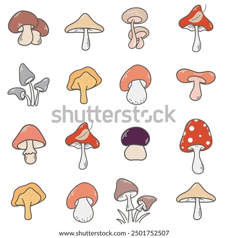 Different forest mushrooms in a row seamless pattern. Background with chanterelles, boletuses, honey mushrooms, fly agarics, toadstools, butter mushrooms and other mushrooms. Mushroom variation autumn