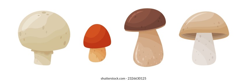 Different Forest Mushrooms with Stem and Cap Isolated on White Background Vector Set