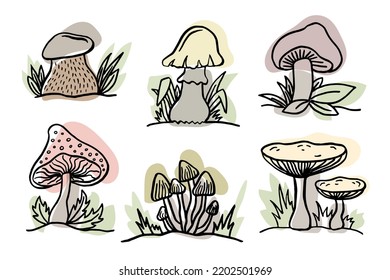 Different Forest Mushrooms or Toadstools with Stem and Cap Isolated on White Background Vector Set