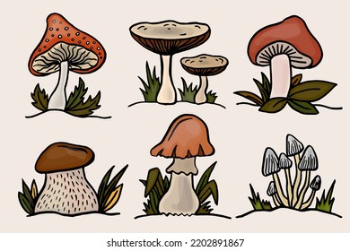 Different Forest Mushrooms or Toadstools with Stem and Cap Isolated on White Background Vector Set