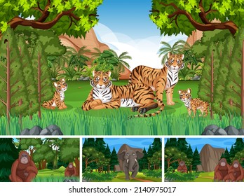 Different forest scenes with wild animals illustration