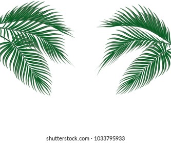 Different in form tropical dark green palm leaves on both sides. Isolated on white background. Vector illustration