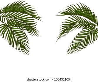 Different in form tropical dark green palm leaves on both sides. Isolated on white background without a mesh and gradient. Vector illustration