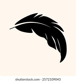 Different forms of feathers with doodle style drawing