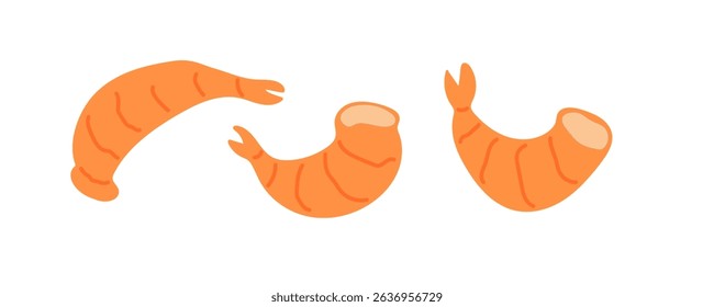 Different forms of shrimp displayed in a colorful flat design style