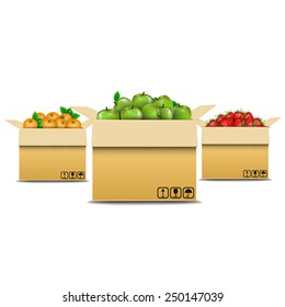 Different fresh fruits