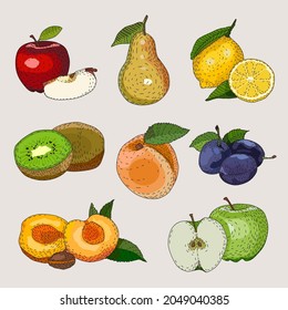 Different fruit drawn doodle set
