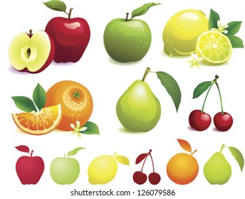 Different fruit with leaves, flowers , segments. Silhouettes of fruit.