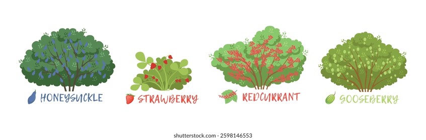 Different Fruit Shrub and Bush Sorts with Names Vector Set