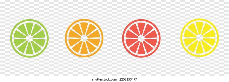 Different fruit slices set vector icon icon transparent background. Modern fruit vector set
