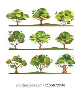 Different fruit trees set, apple, orange, lemon, pear, rowan, apricot, plum, cherry tree with ripe fruits vector Illustrations on a white background