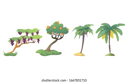 Different Fruit Trees with Thick Tree Crown and Fruits Vector Set