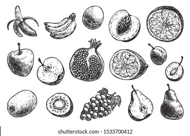 different fruits: banana, apple, pear, plum, etс.
Hand drawn fresh fruits. Vector illustration on the white background. Organic food set.