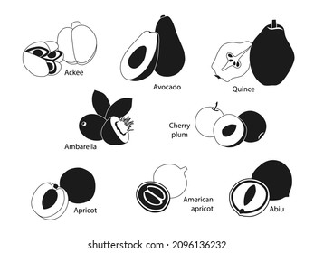 Different fruits are black and white. Quince, apricot, American apricot, avocado, cherry plum, aki, abiu, ambarella. Healthy foods for proper nutrition