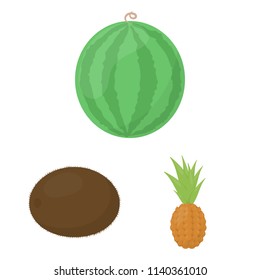 Different fruits cartoon icons in set collection for design. Fruits and vitamins vector symbol stock web illustration.