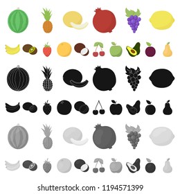 Different fruits cartoon icons in set collection for design. Fruits and vitamins vector symbol stock web illustration.