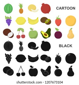 Different fruits cartoon icons in set collection for design. Fruits and vitamins vector symbol stock web illustration.