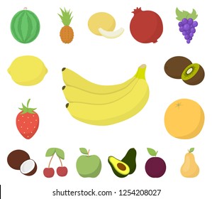 Different fruits cartoon icons in set collection for design. Fruits and vitamins vector symbol stock web illustration.