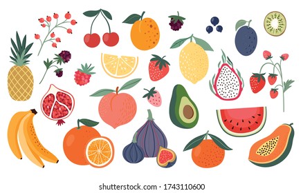 Different fruits collection, doodle style, isolated on white